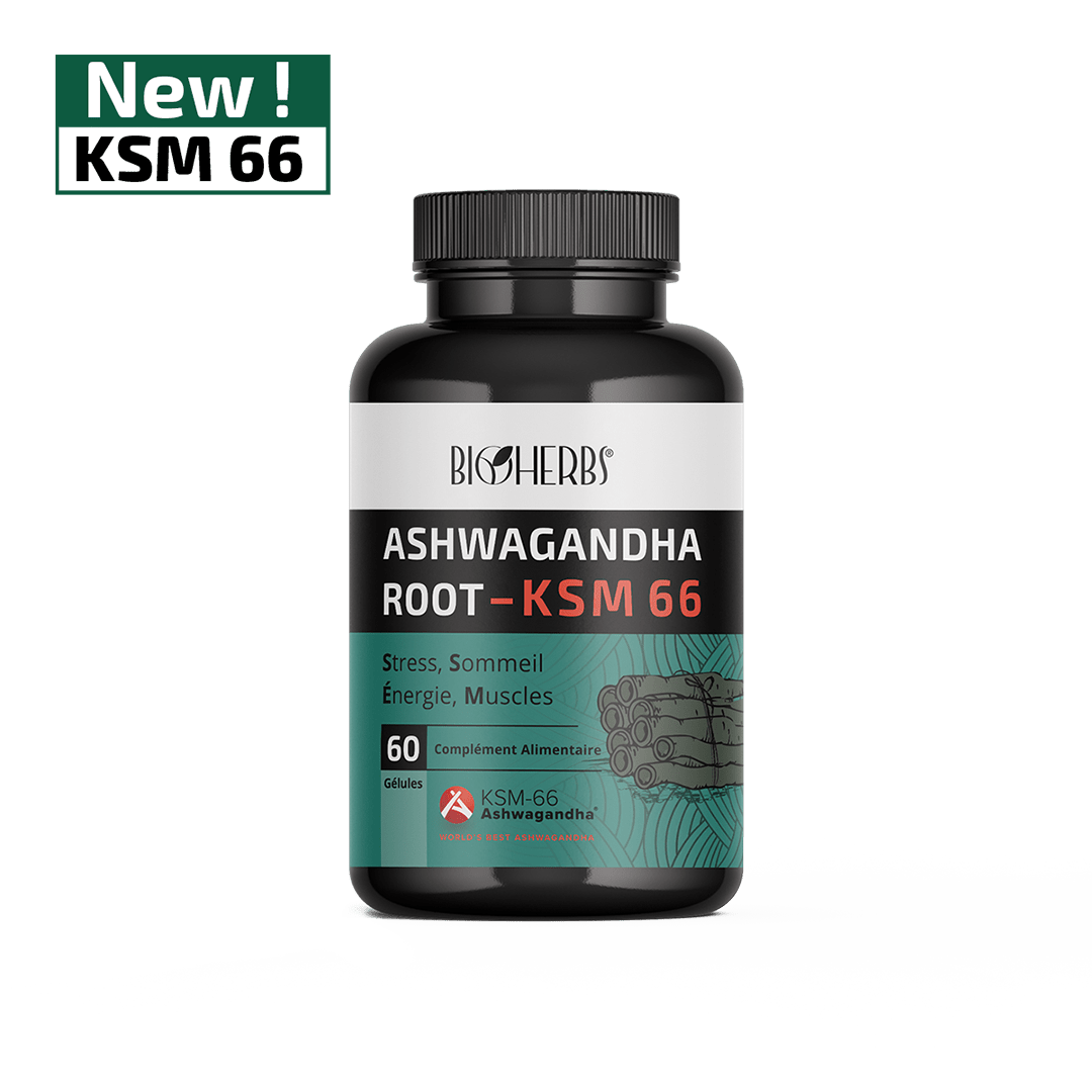 ASHWAGANDHA ROOT KSM 66