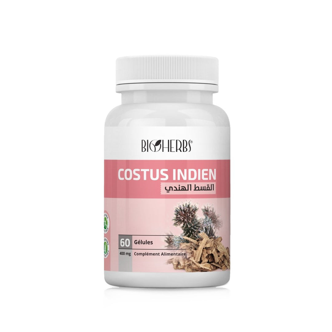 Costus Indien