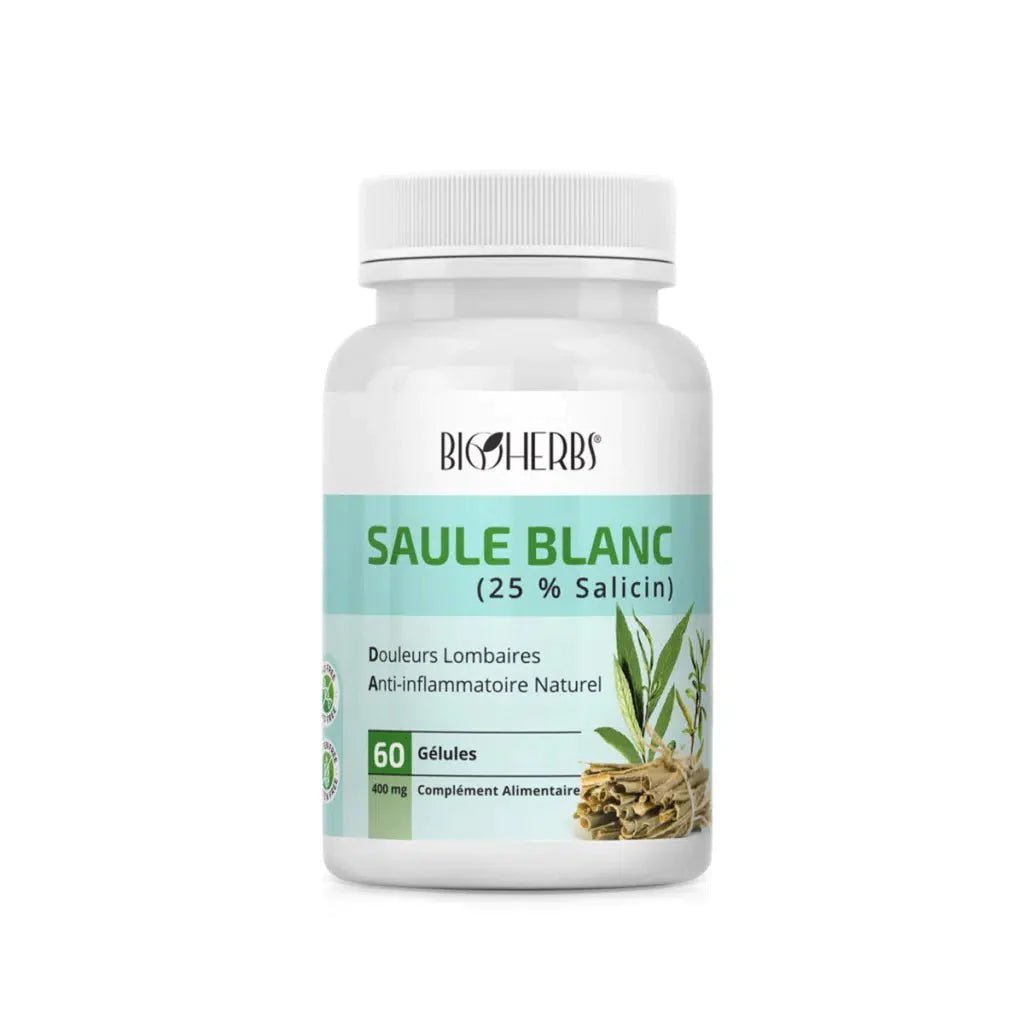 Saule Blanc