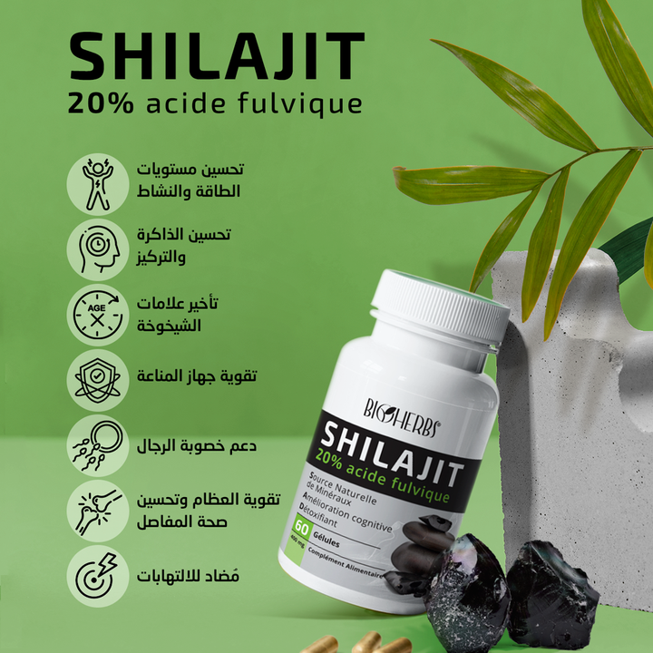 Shilajit