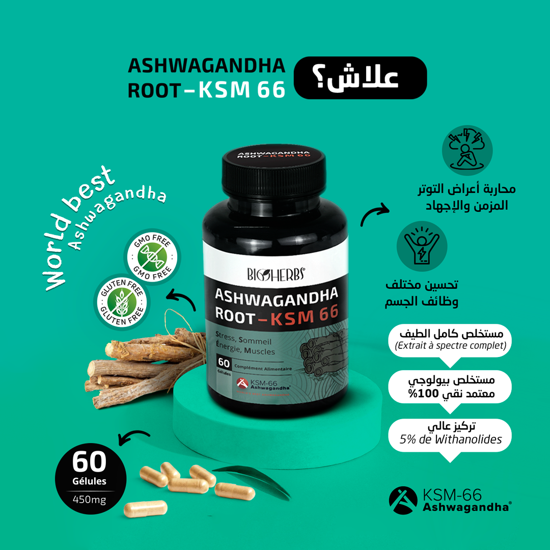 ASHWAGANDHA ROOT KSM 66