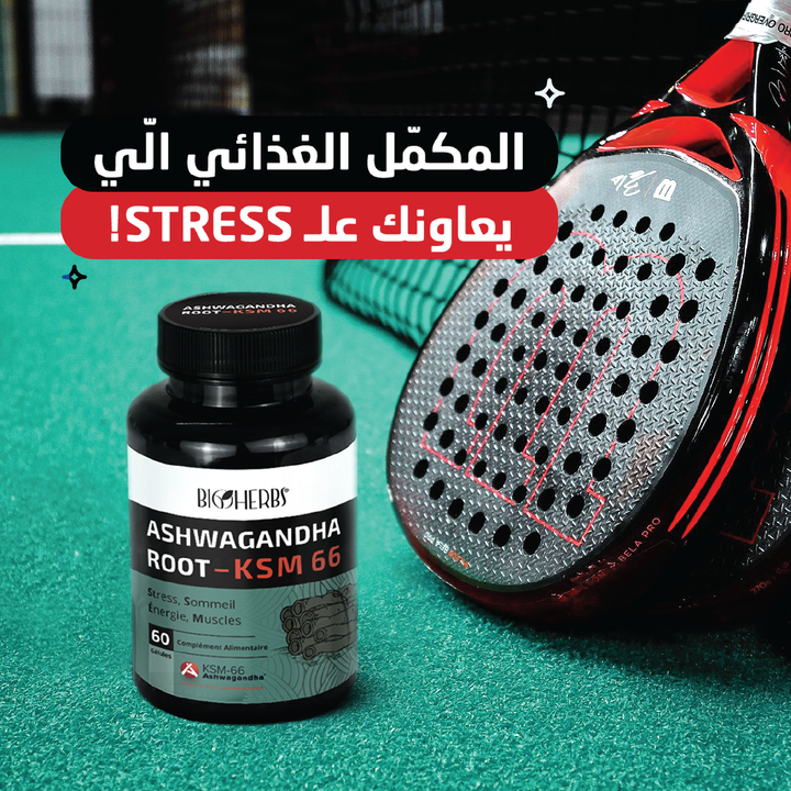 ASHWAGANDHA ROOT KSM 66