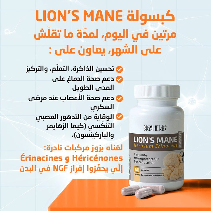 Lion’s mane