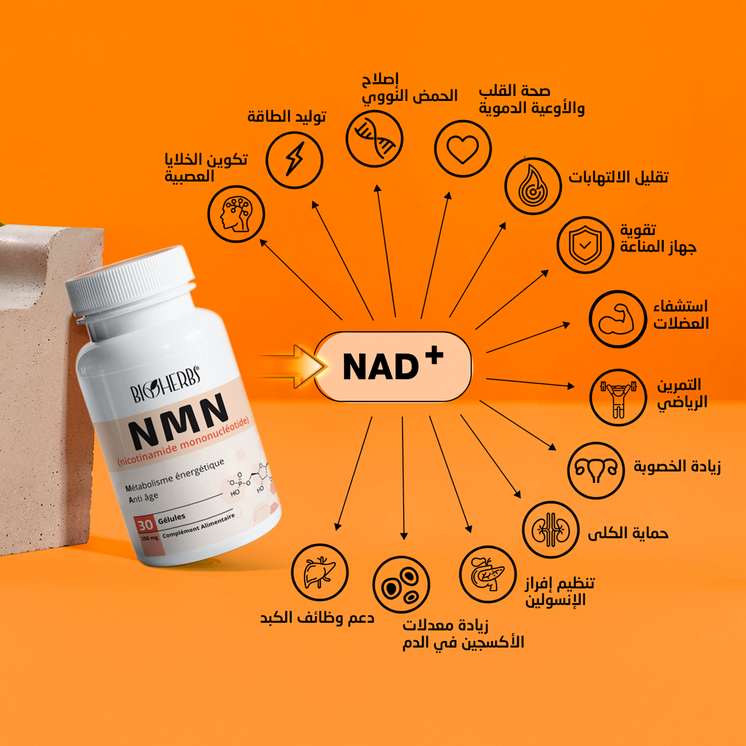 NMN Nicotinamide Mononucléotide