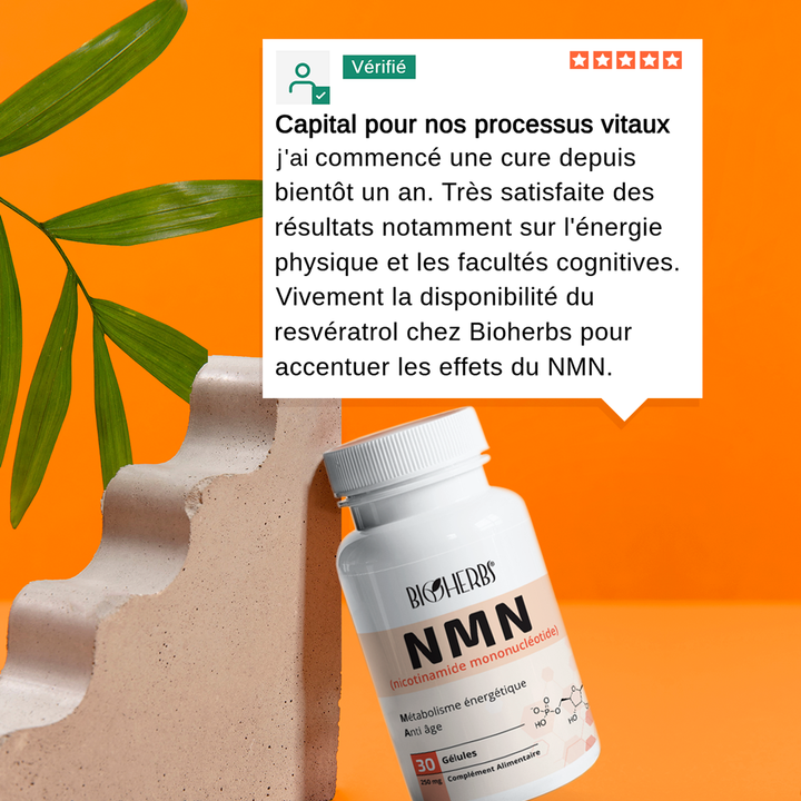 NMN Nicotinamide Mononucléotide
