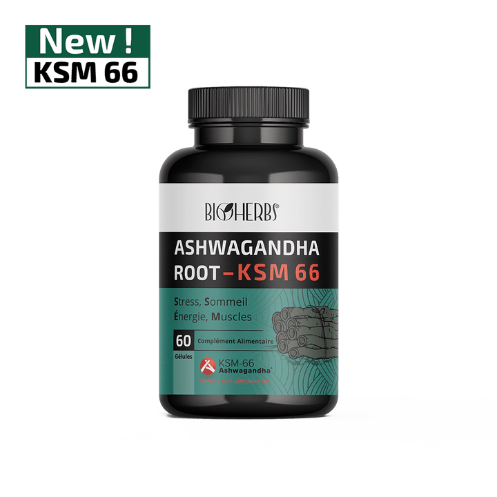 ASHWAGANDHA ROOT KSM 66