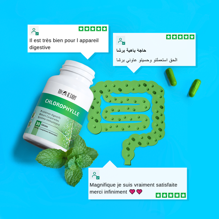 Chlorophylle