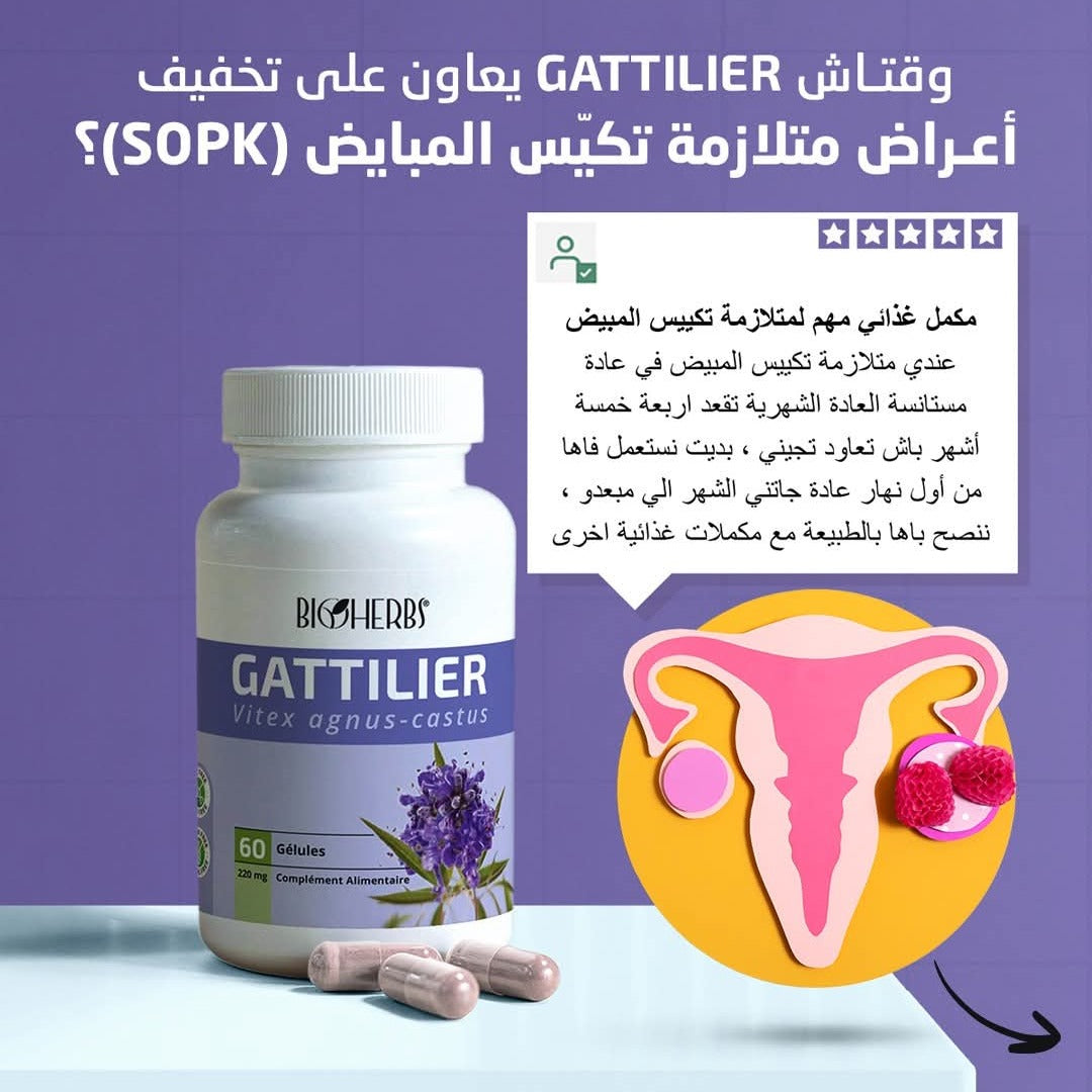 Gattilier