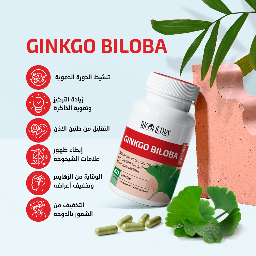 Ginkgo Biloba
