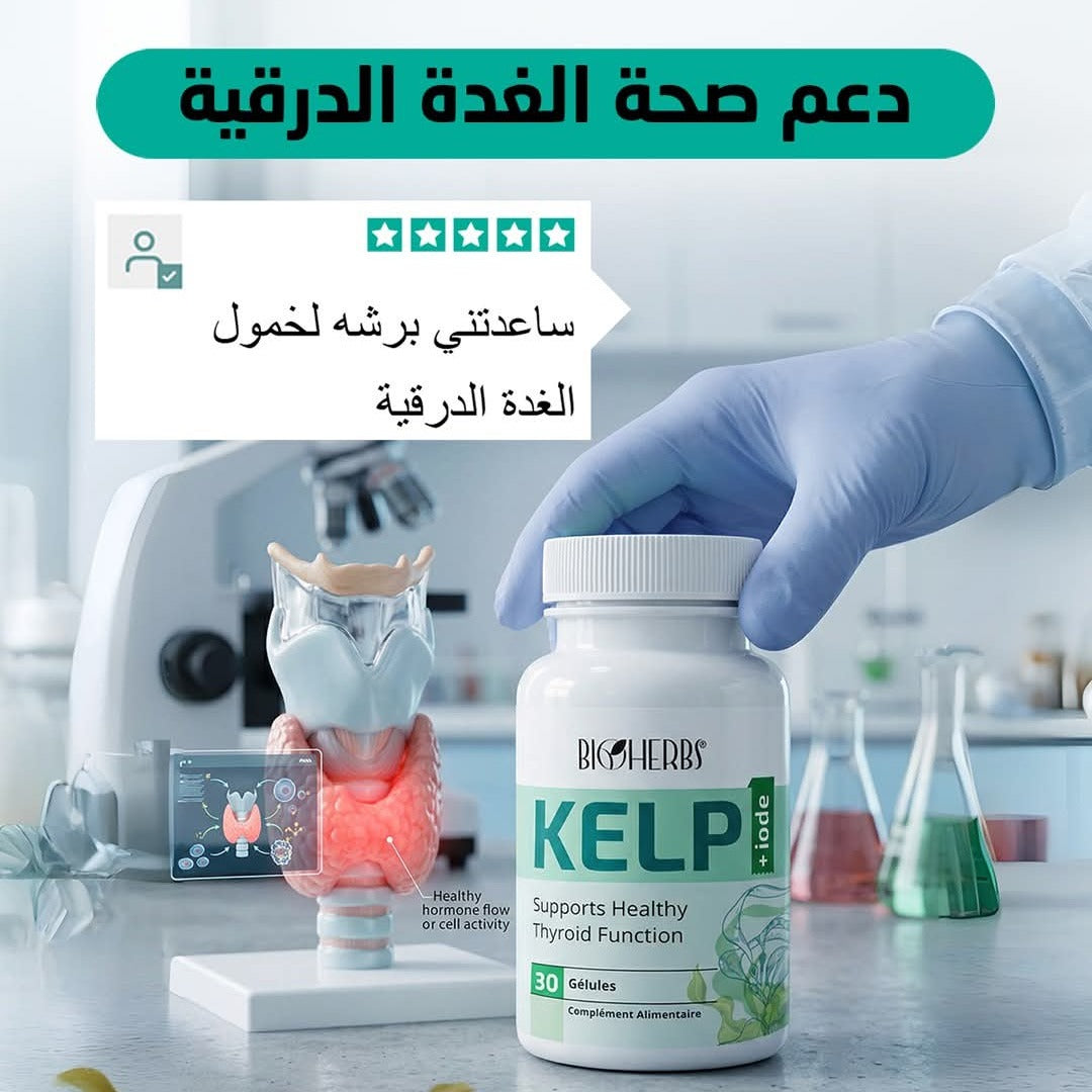KELP - IODE
