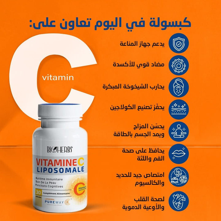 Vitamine C Liposomale