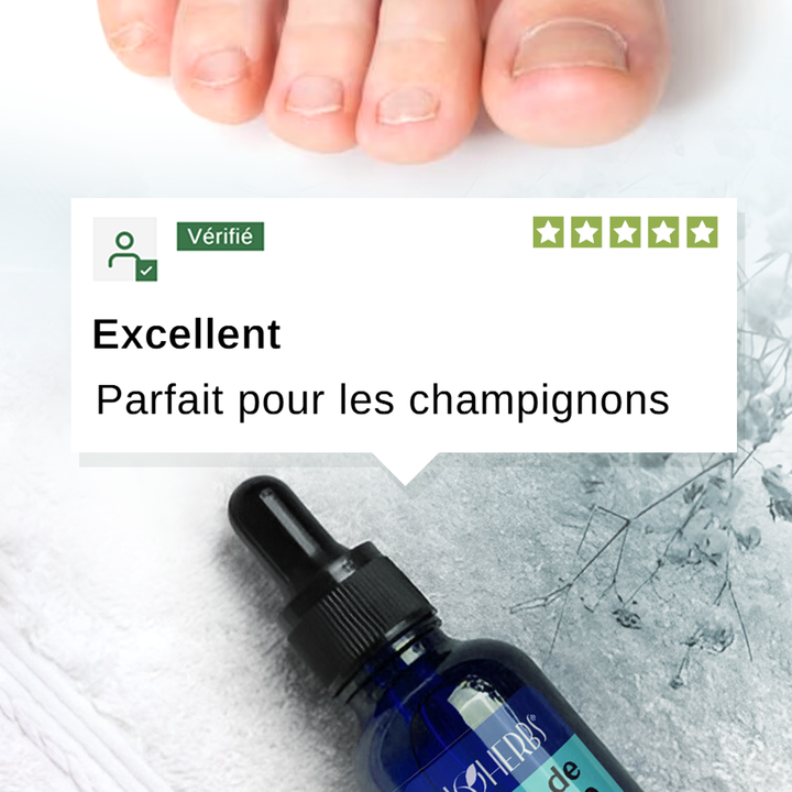 Huile De Neem