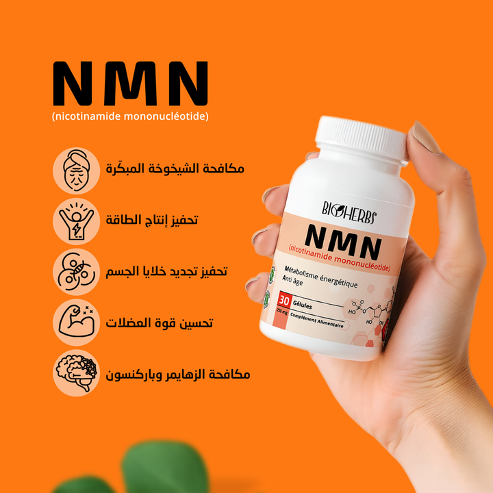 NMN Nicotinamide Mononucléotide