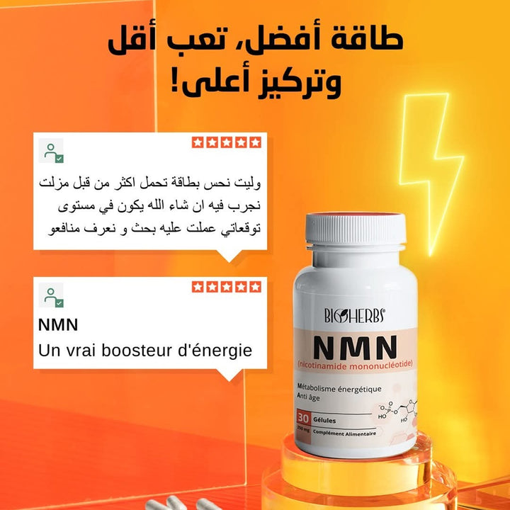 NMN Nicotinamide Mononucléotide
