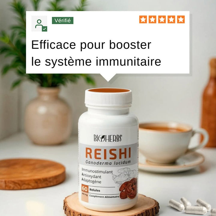 Reishi Ganoderma