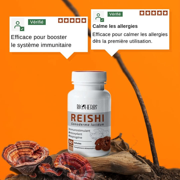 Reishi Ganoderma